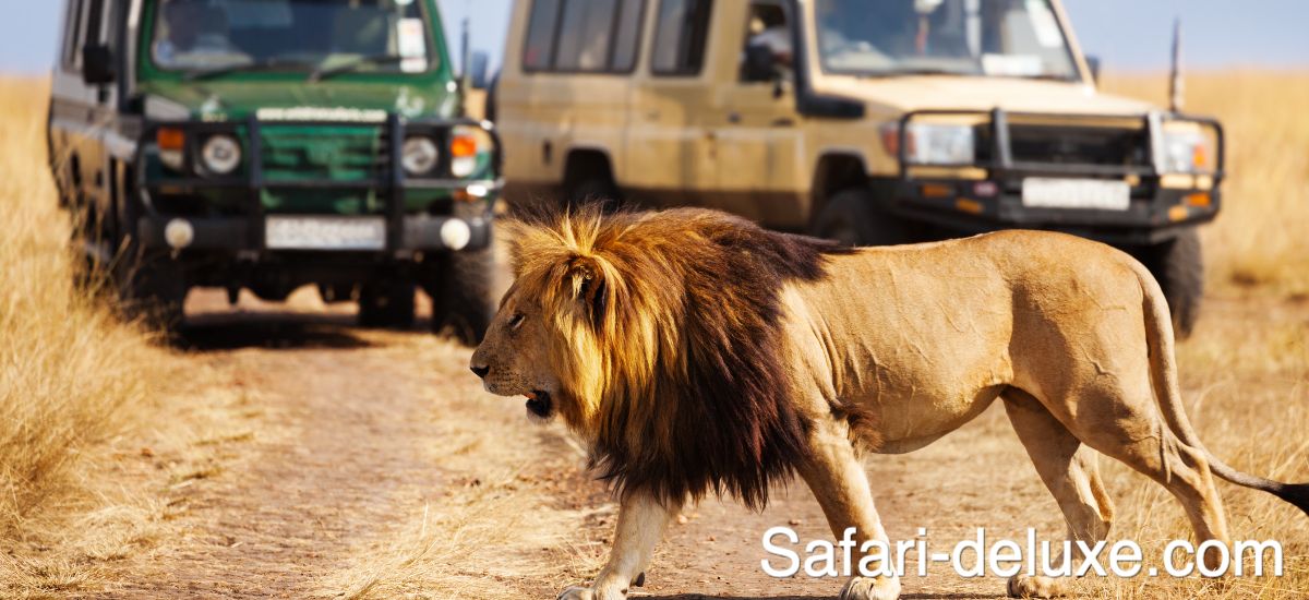 safari-deluxe.com